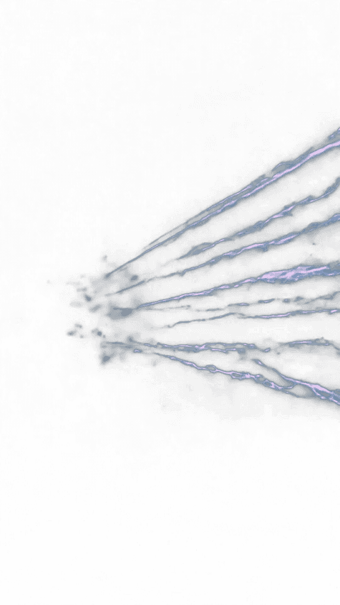 ABO Galaxy Banner