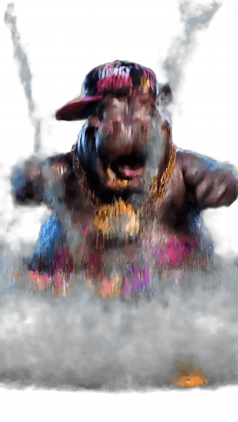 ABO HIPPO