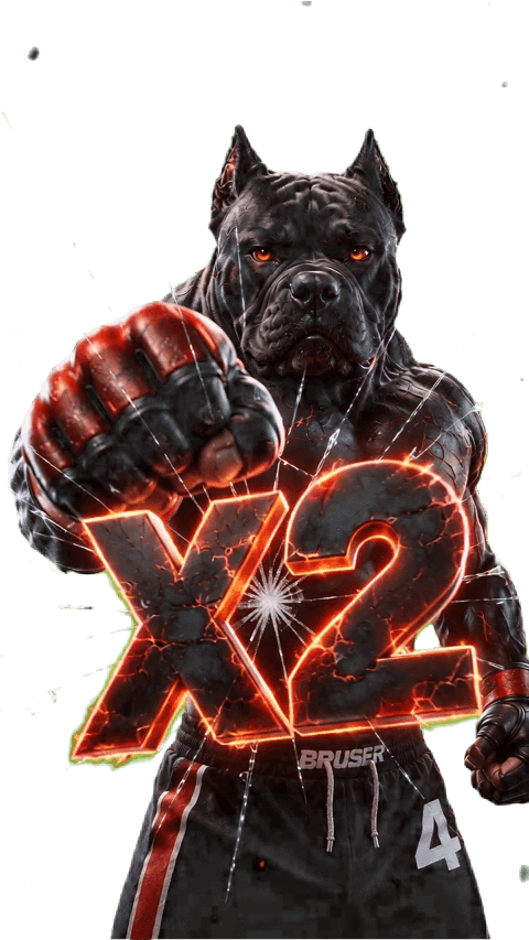 Cane Corso x2