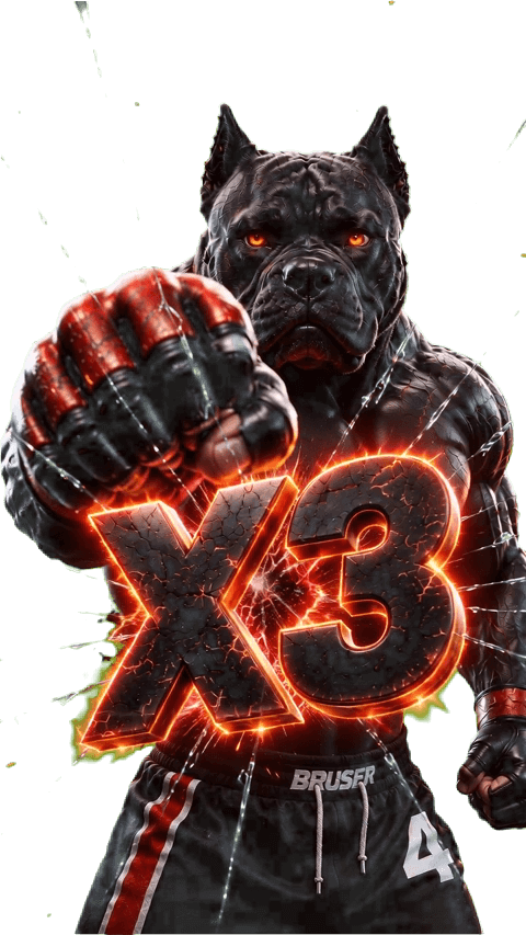 Cane Corso x3