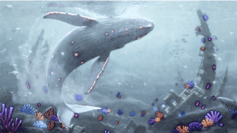 Cosmic Whale Gift