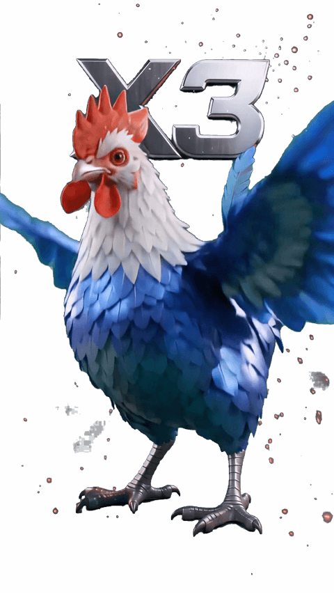 Donner Huhn x3