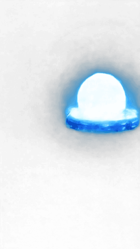 Electro PUPULAR