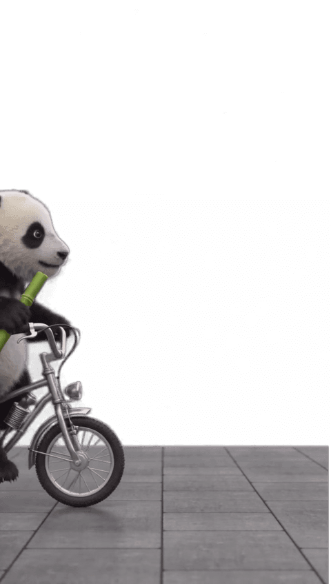 Follow Panda