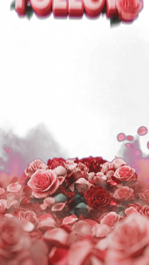 follow pink rose