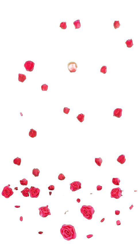 Gift Rosen