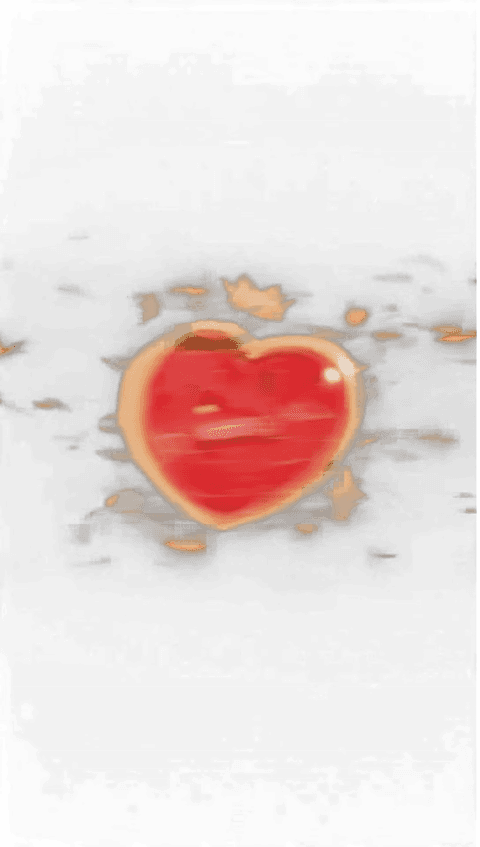 heart Gladiator