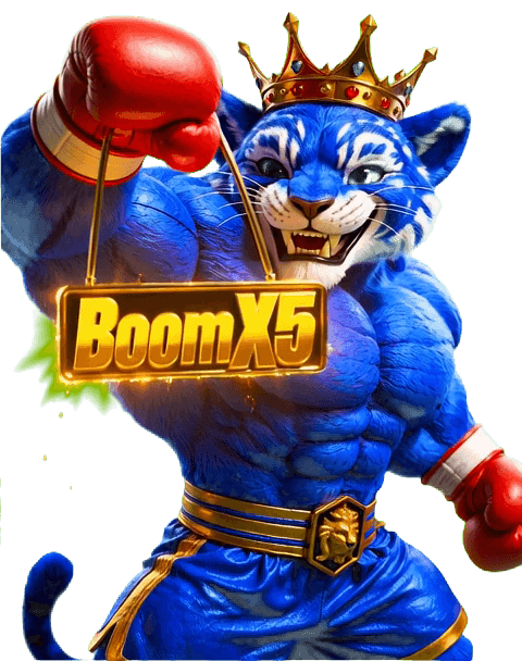 Little Extrem  Boom x5