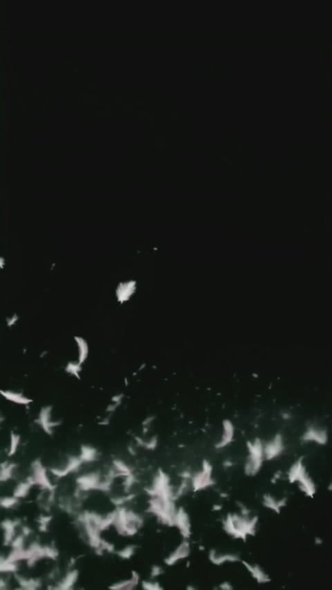 Overlay Eagle