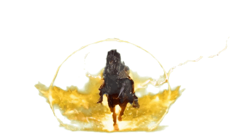 Reiter Ritter Booster 16:9