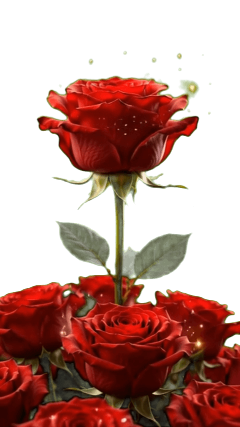 Rosen Share