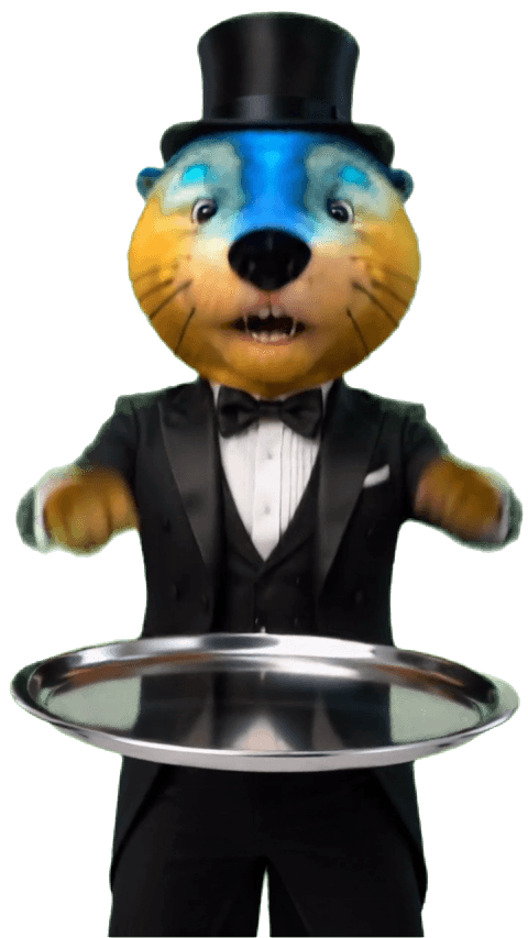 Sir Walley level up