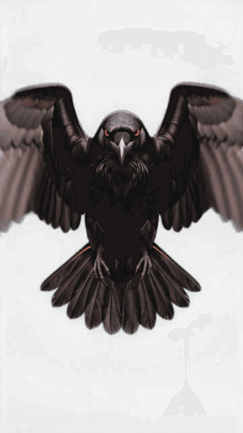 Snipe Raven