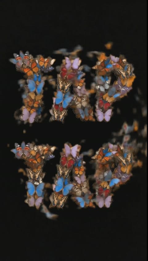 tap tap butterfly