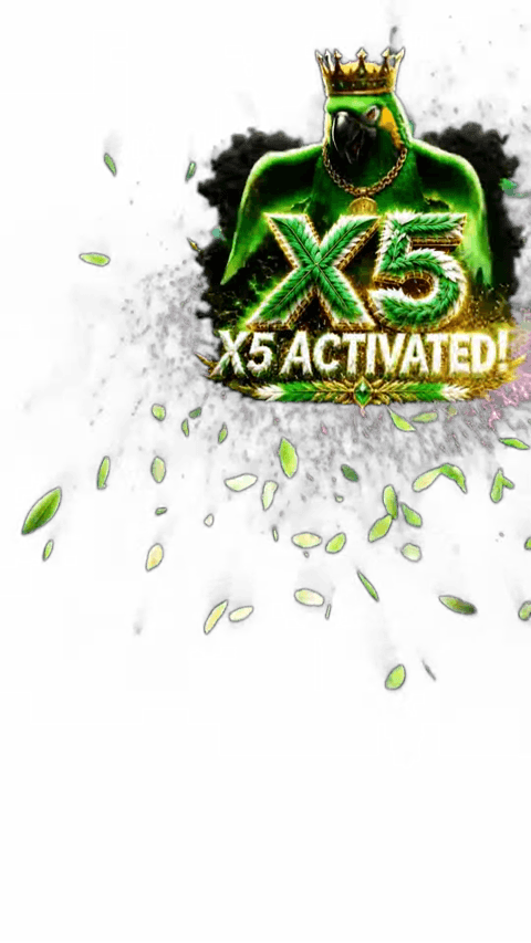 X5 Activated Papagai
