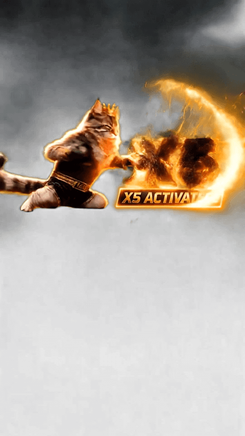 X5 Multiplikator / Activated